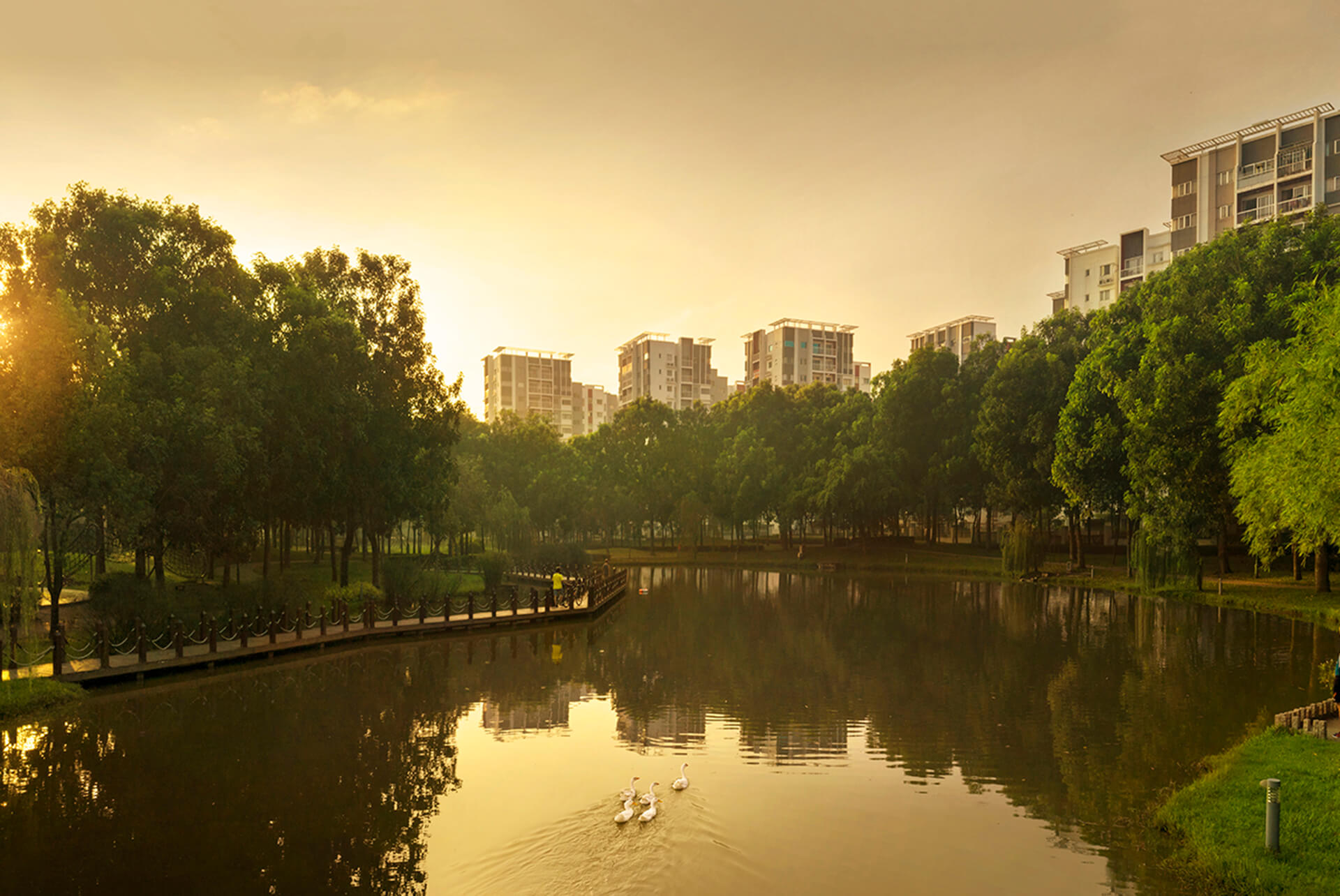 Tiện ích đa dạng