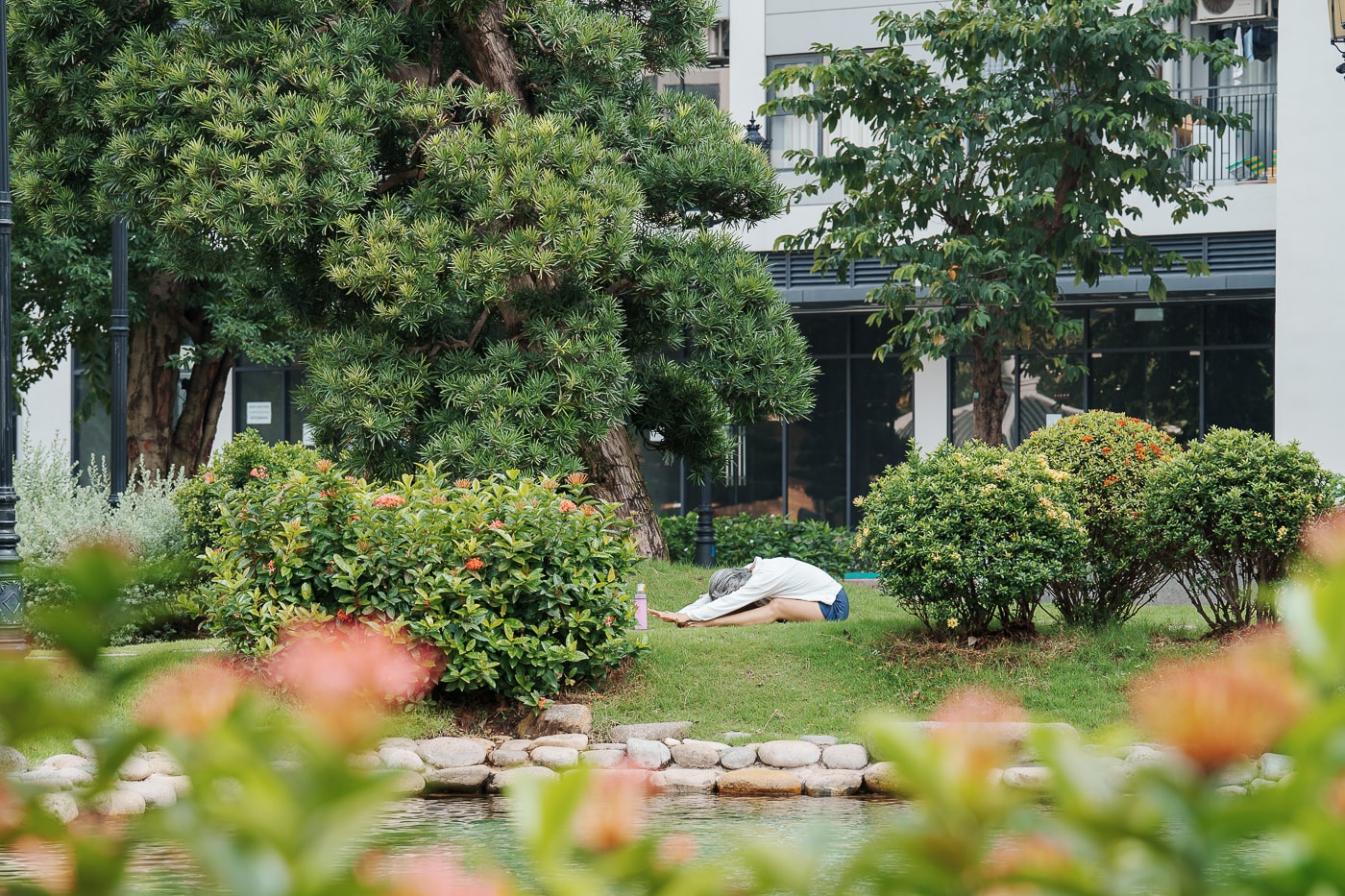 Môi trường xanh mát